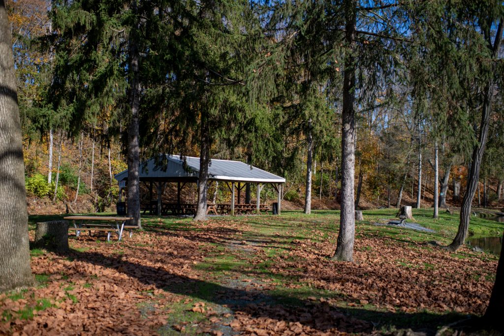 About Limestone Springs