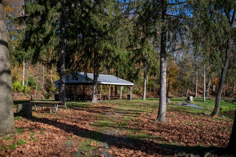 About Limestone Springs